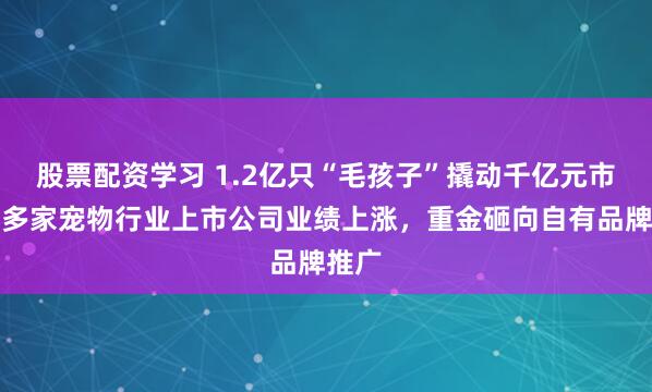 股票配资学习 1.2亿只“毛孩子”撬动千亿元市场！多家宠物行业上市公司业绩上涨，重金砸向自有品牌推广