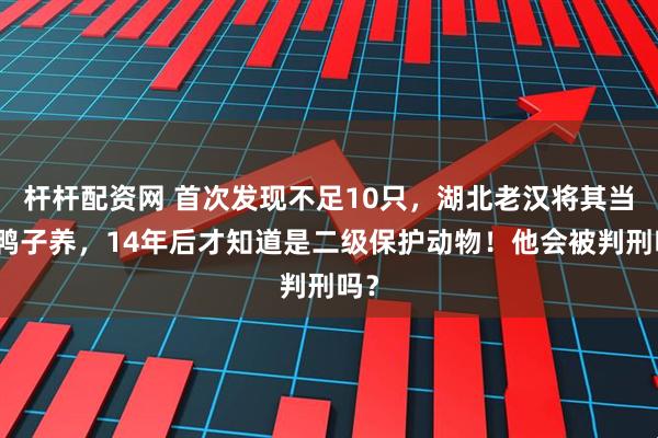 杆杆配资网 首次发现不足10只，湖北老汉将其当成鸭子养，14年后才知道是二级保护动物！他会被判刑吗？