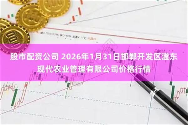 股市配资公司 2026年1月31日邯郸开发区滏东现代农业管理有限公司价格行情